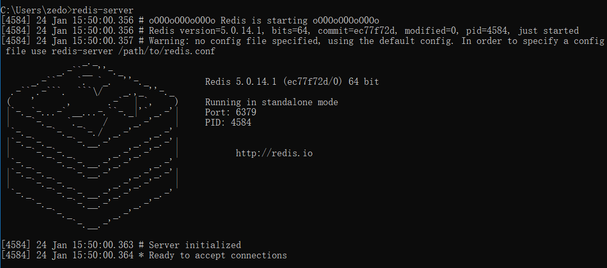 成功启动 Redis 服务